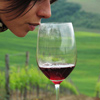 Vinařské zájezdy