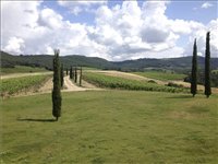  Produkce vína Brunello di Montalcino